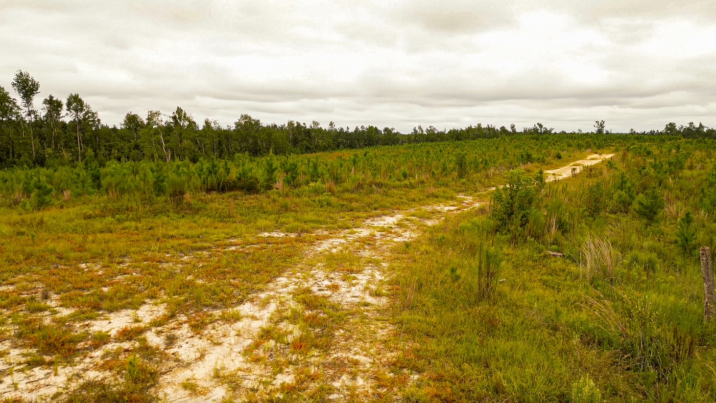 Batson Creek – Tract 1 Photo